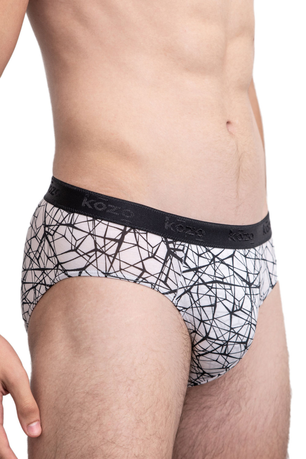 Muške gaće Slip - print Web