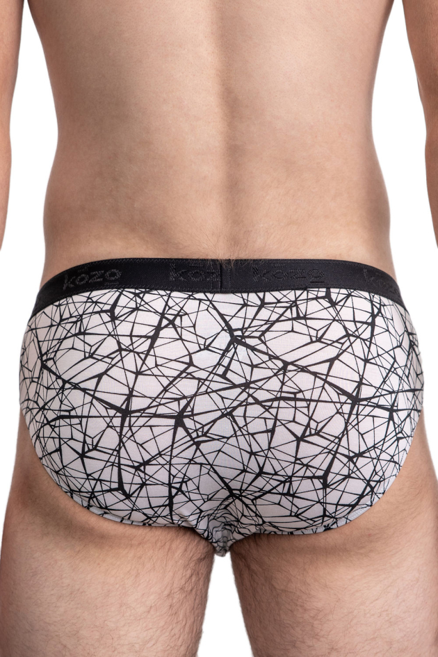 Muške gaće Slip - print Web