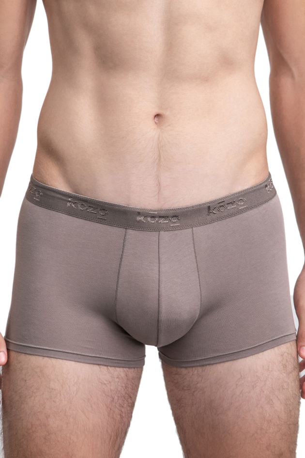 Muške bokserice Hipster - sive