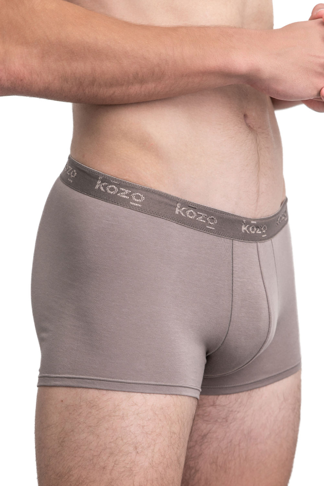 Muške bokserice Hipster - sive