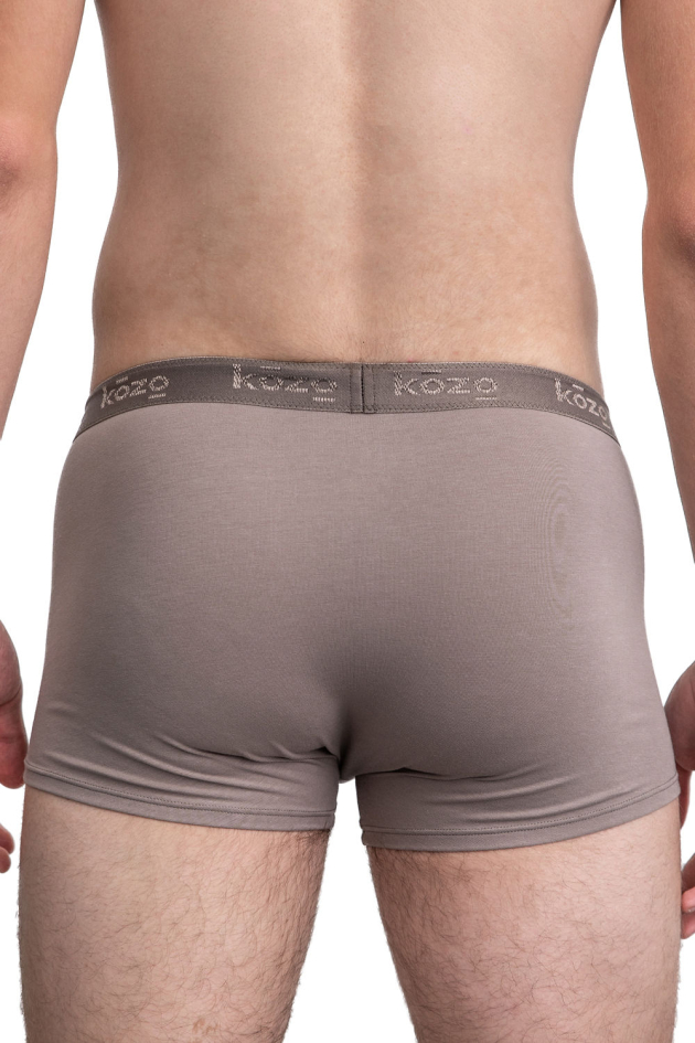 Muške bokserice Hipster - sive