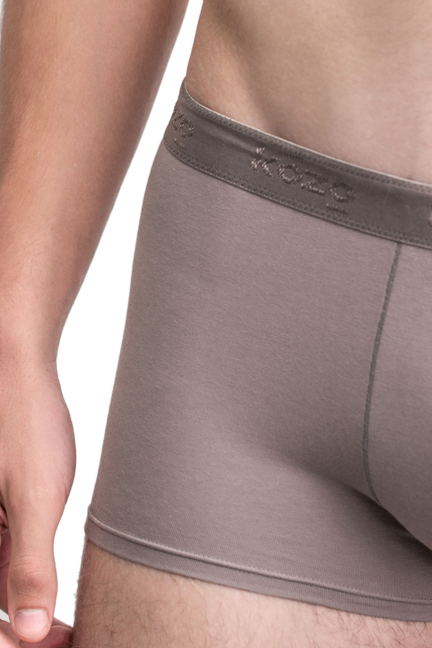 Muške bokserice Hipster - sive