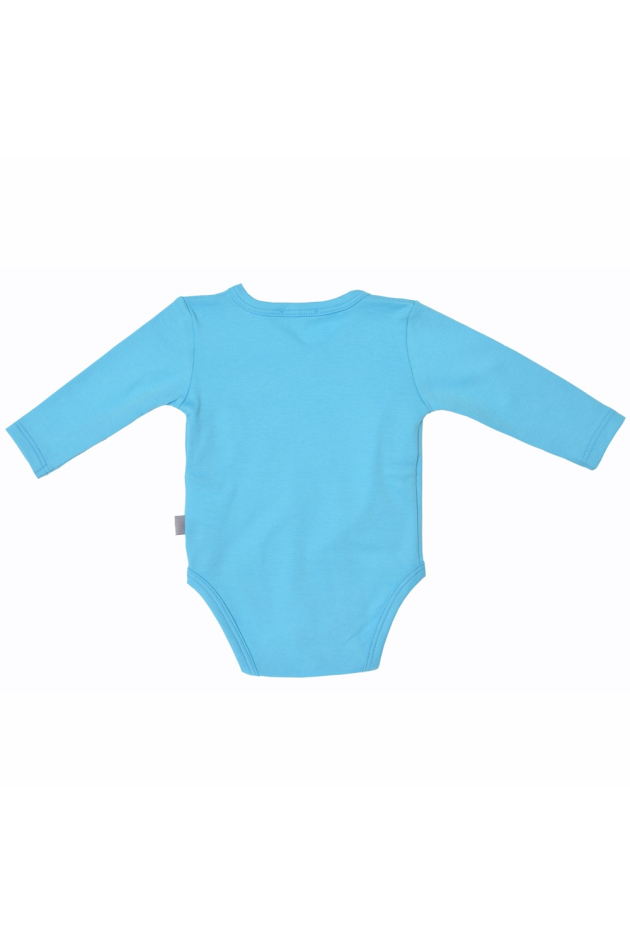 Baby bodi benkica